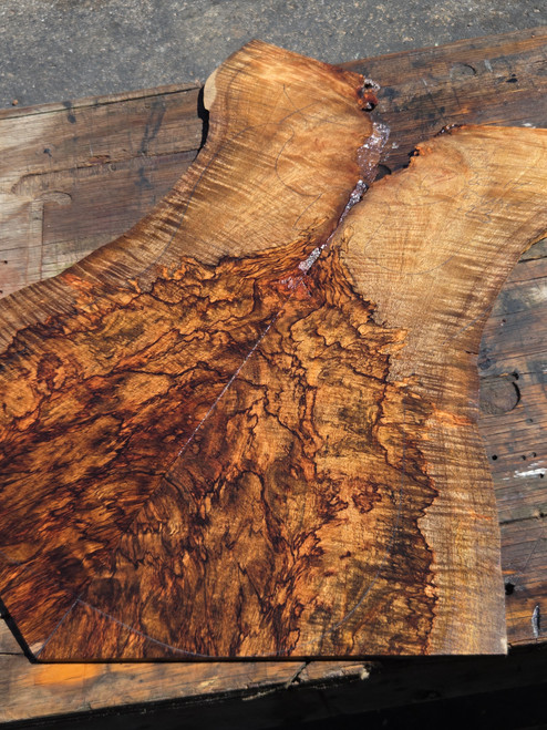 cocobolo spalted curly crotch bookmatch (5) 11/24/25