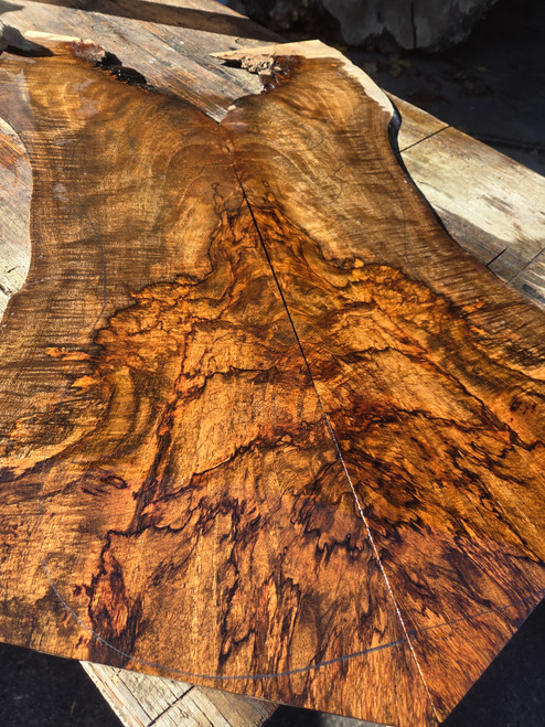 cocobolo spalted curly crotch bookmatch (6) 11/24/25