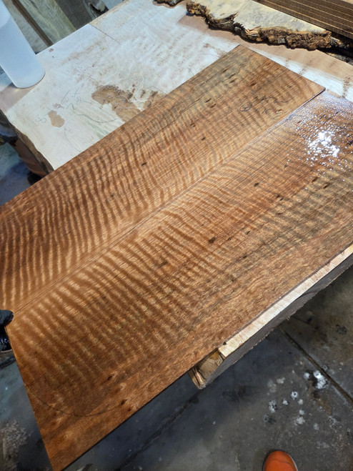 Pyinma satinwood flat top  11.15.25 B