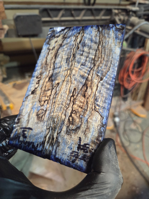 Mango curly stabilized scales blue 1.20.2025.3