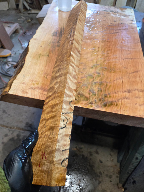 quilted maple turning spindle M 1.26.26.