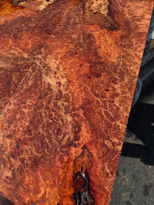 Lace redwood  burl  XW XL  3.10.26.005