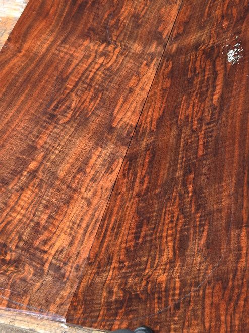 bastogne curly walnut bookmatch 3.14.26.00A