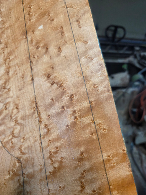 birdseye maple neck blank  1.10" thick  C double neck
