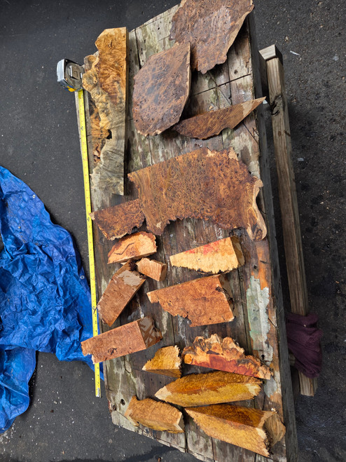 exotic burl live edge assortment bundle 2 4.20.26