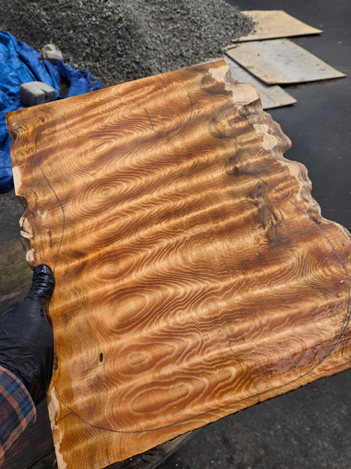 Curly Old growth Douglas Fir plainsawn 1 5.01.26