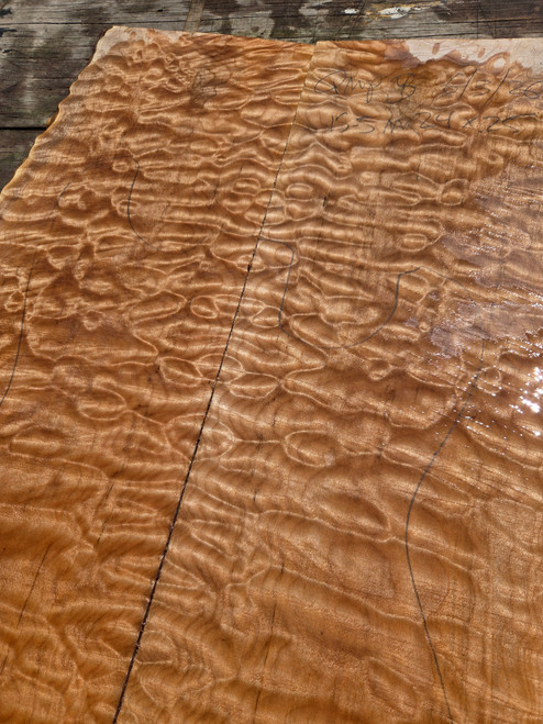 Quilted maple bookmatch  top  6.3.26.003