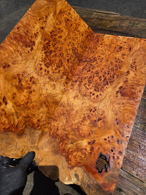 Neem burl bookmatch 7.10.26.004