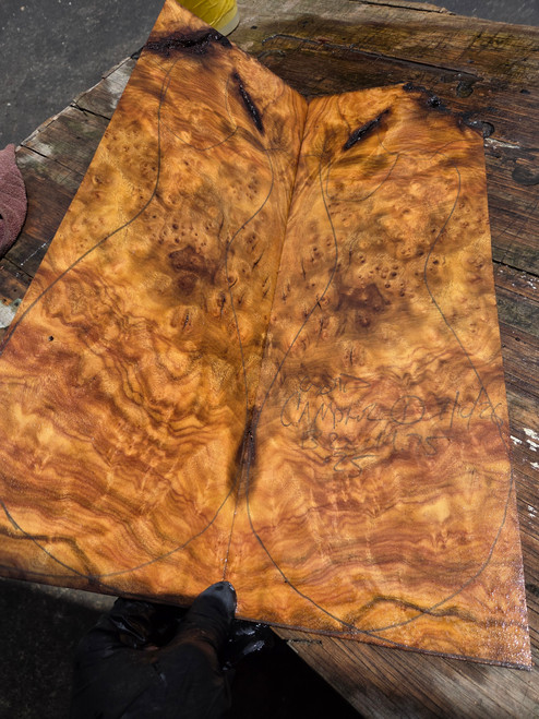 Gold Camphor burl bookmatch 7.10.26.001