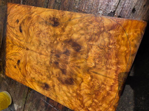 Gold Camphor burl bookmatch 7.10.26.004