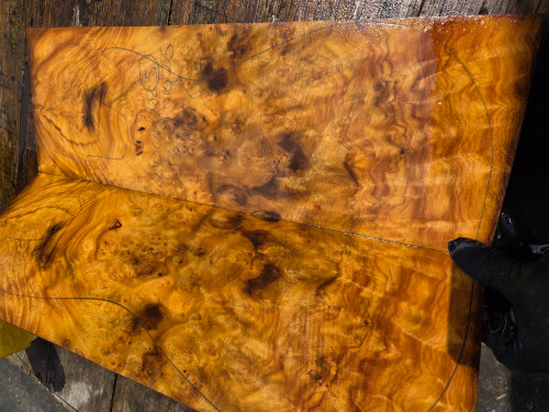 Gold Camphor burl bookmatch 7.10.26.005