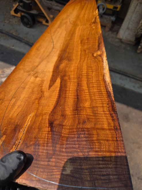 American Chestnut curly bookmatch  8.01.26.001