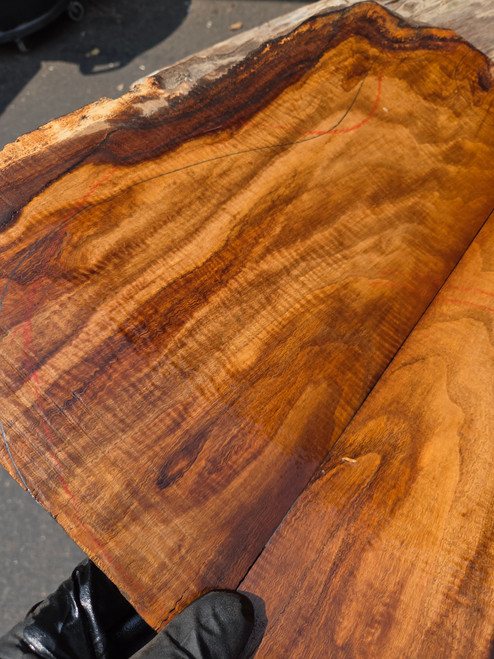 American Chestnut curly bookmatch  8.01.26.003