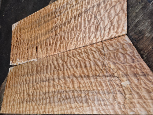 Quilted maple bookmatch  top  7.29.26.E