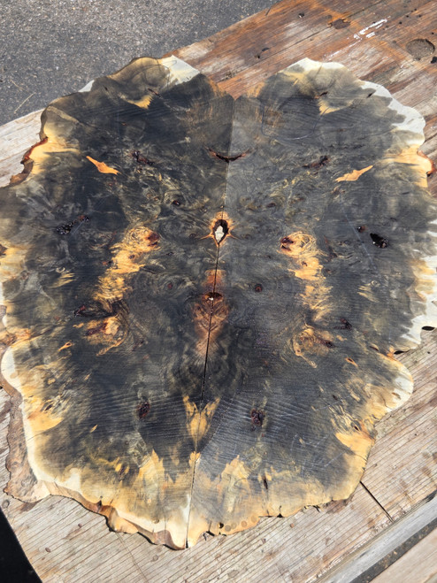Buckeye burl Bookmatch  8.16.26.001