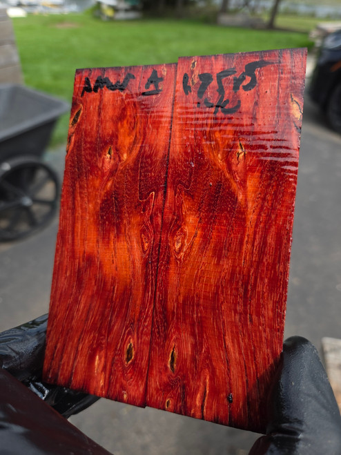 Red stabilized amur ash scales  8.21.26 Amur 1