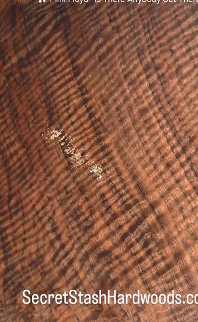 bastogne curly walnut 1pc super curl