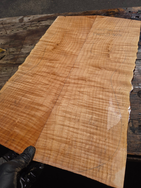 Curly maple bookmatch 14x23x.25