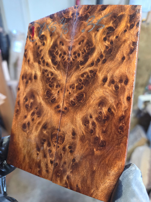 Redwood burl stabilized scales  1