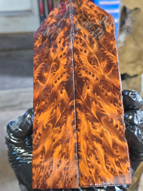 Redwood burl stabilized scales  9.01.26.003