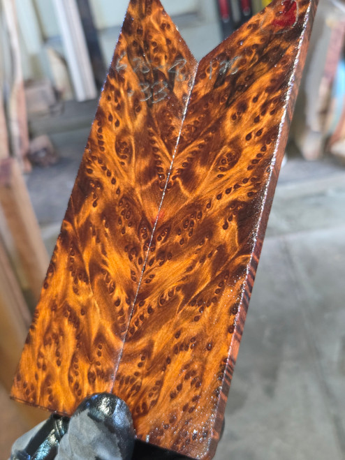 Redwood burl stabilized scales  9.01.26.004