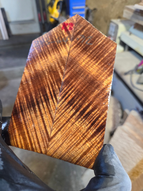 Curly koa stabilized scales 9.01.26.K2