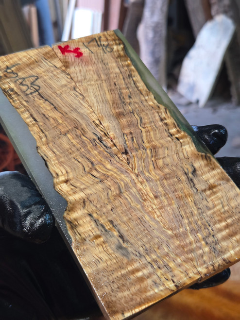 Curly koa stabilized scales 9.01.26.K5