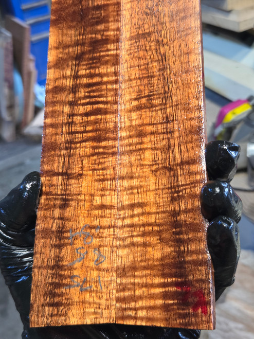 XL Curly koa stabilized scales 9.01.26.K6