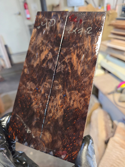 Space Cake Redwood stabilized scales 9.01.26.SC1