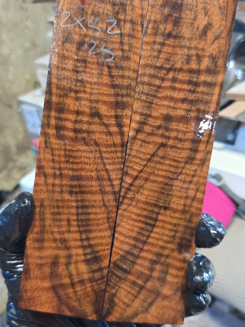 XL bastogne walnut stabilized scales 9.01.26.W1