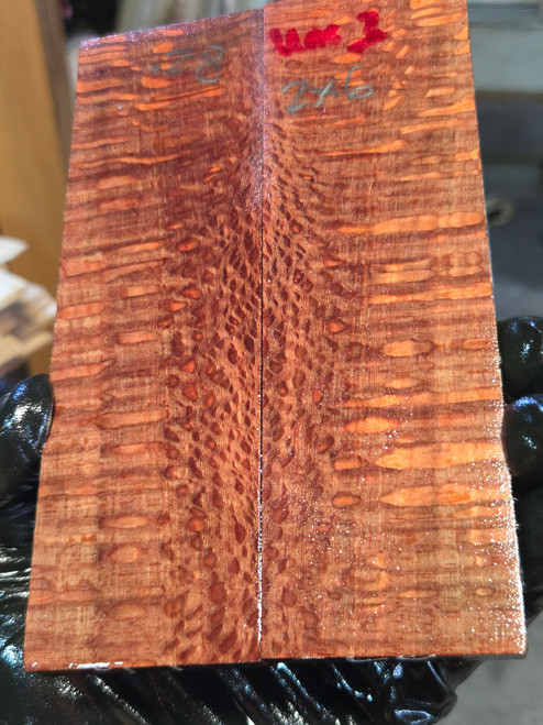 Lacewood stabilized scales 9.01.26.L2