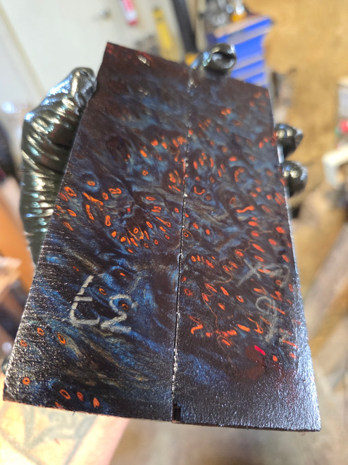 Space Cake Redwood stabilized scales 9.01.26.SC5