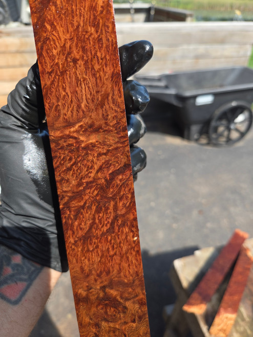 Dark eyed York Gum turning spindle G