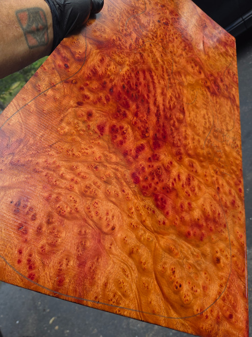 red Camphor burl 1pc Oversize 10.01.26.001