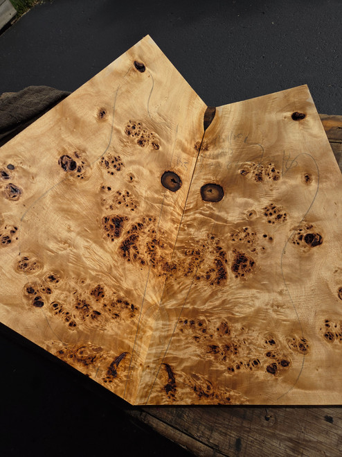 XL Mappa (european black poplar) burl  bookmatch  9.08.26.001