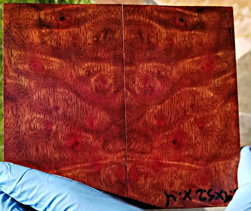 camphor burl stabilized scales 7