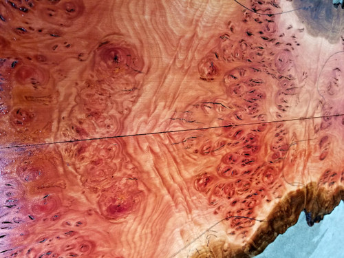 eucalyptus burl bookmatch 11.24.2018.001