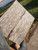 stabilized black palm scales 2022.11.29.001