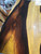 spalted camatillo  bookmatch 1 6.28.2023
