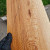 quartersawn sycamore Bookmatch A 11.18.2022