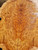  Yellow box burl A 10.10.2023 