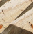 Yellow box burl b 10.10.2023 