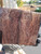  Lacewood stabilized scales 10.12.23 I