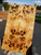 Mappa Burl stabilized scales 10.12.23  A