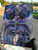 Mappa Burl stabilized scales 10.12.23  D