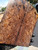 Maple Burl stabilized scales 10.12.23  H XXWL