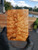 quilted curly Maple  stabilized scales 10.12.23  O