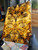 buckeye burl  stabilized scales 10.12.23  H