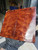 Red Camphor burl stabilized scales 10.12.23  A XW