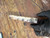 Curly Satinwood stabilized scales  10.18.23 C